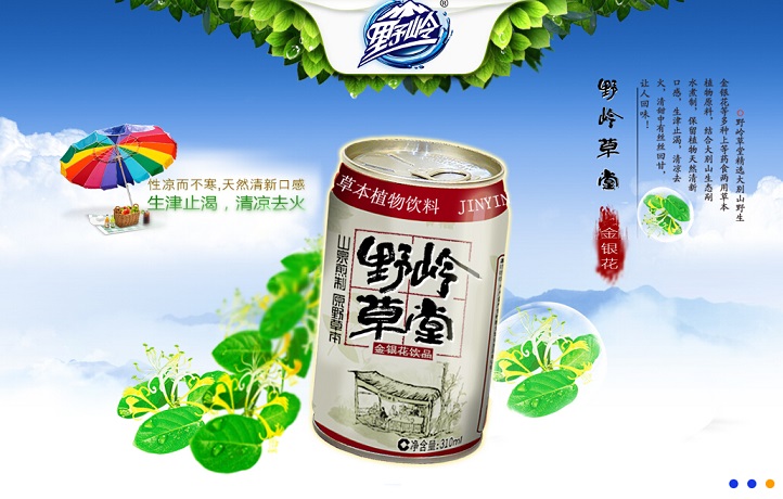 17個(gè)飲料網(wǎng)站設(shè)計(jì)欣賞