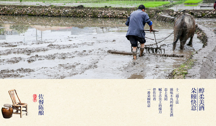 酒狐——佐餐陳釀